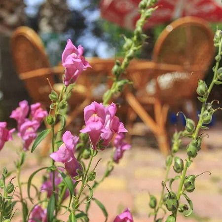 Lejlighedshotel Milkyway Apart&hotels