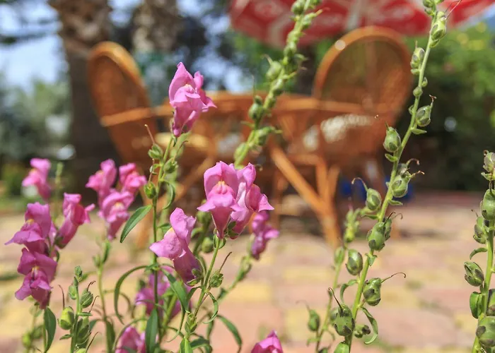 Hotel de apartamente Milkyway &