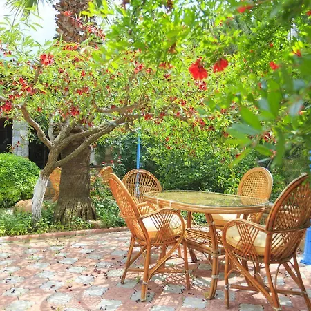 Milkyway & アパートホテル オルデニズ