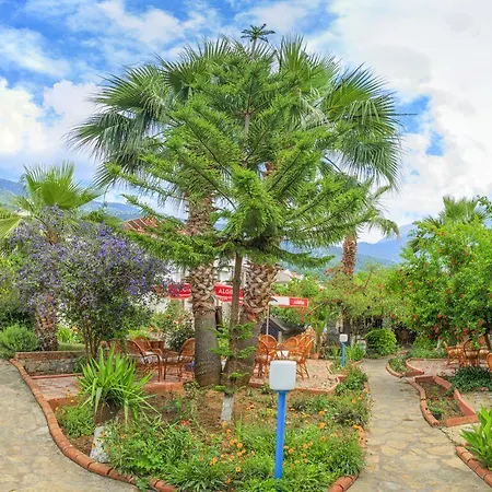 Milkyway & アパートホテル オルデニズ