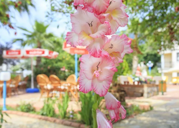 Lägenhetshotell Milkyway & Öludeniz